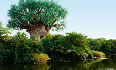 The Tree of Life!